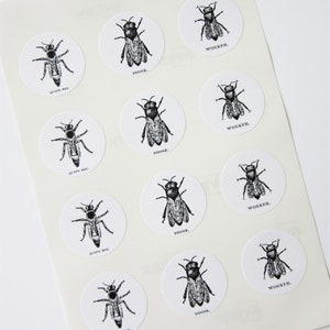 Scientific Bee Stickers One Inch Round Seals