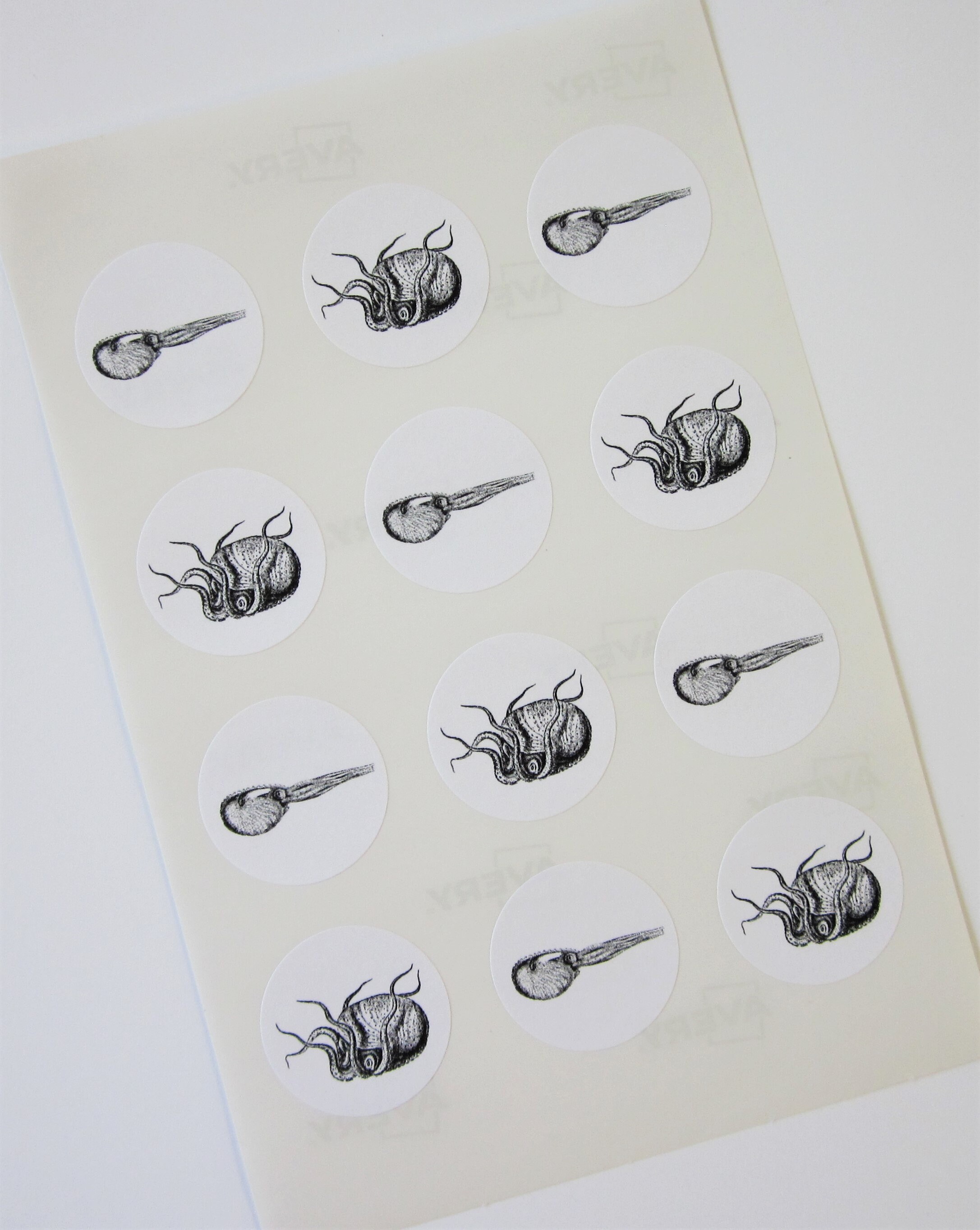 Cuttlefish Stickers One Inch Round Seals | Etsy