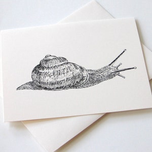 Jeu de cartes Snail Note de 10 en blanc ou ivoire avec enveloppes assorties