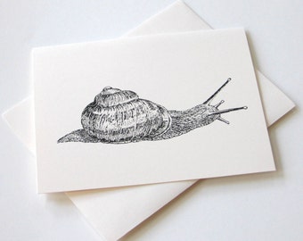 Snail Note Card Set of 10 in White or Ivory with Matching Envelopes