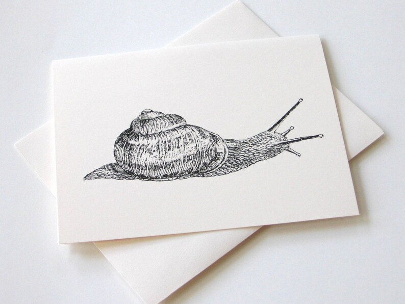 Snail Taking Notes Snail Note Card Set of 10 in White or Ivory With Matching Envelopes - Etsy