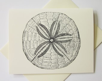 Sand Dollar Note Cards Set of 10 with Matching Envelopes