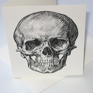 Skull Note Cards Set of 10 with Matching Envelopes image 3