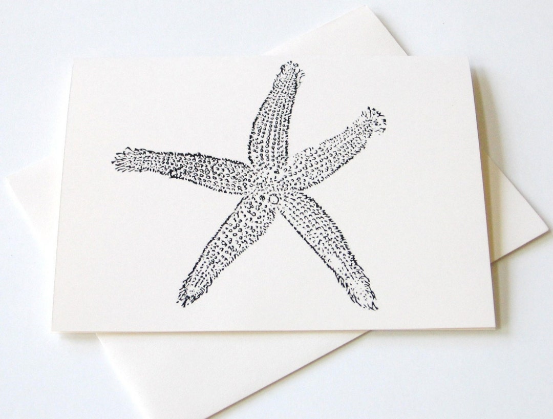 Starfish Note Card Set of 4 With Matching Envelopes - Etsy