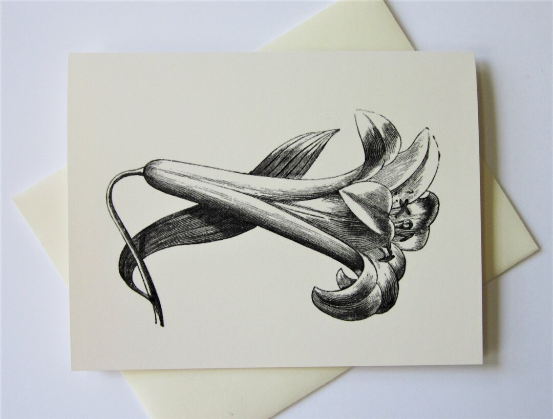 Lily Flower Note Cards Set of 10 With Matching Envelopes - Etsy