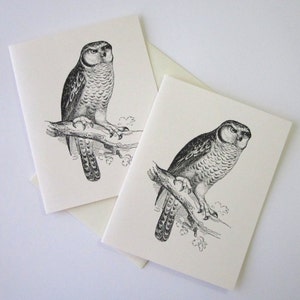 Owl Note Cards Stationery Set of 10 Cards with Matching Envelopes