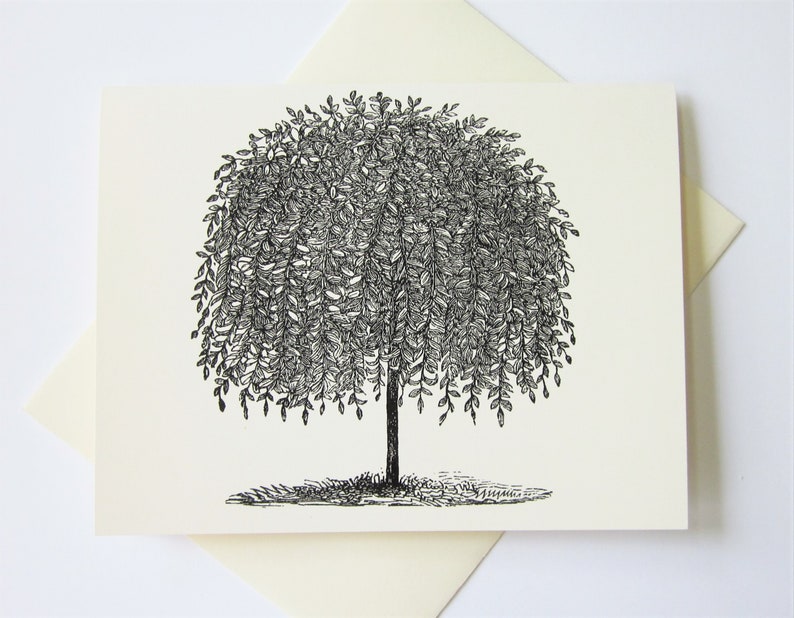 Tree Note Card Set of 10 in White or Light Ivory with Matching Envelopes 5 Images Oak Tree Stationery image 3