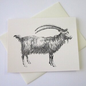 Goat Note Cards Stationery Set of 10 Cards in White or Light Ivory with Matching Envelopes image 2