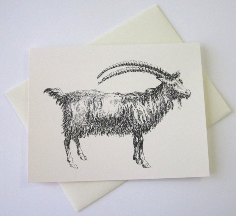 Goat Note Cards Stationery Set of 10 Cards in White or Light Ivory with Matching Envelopes image 2