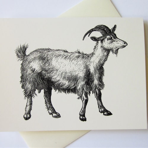 Holly Note Cards Stationery Set of 10 Cards in White or Light - Etsy