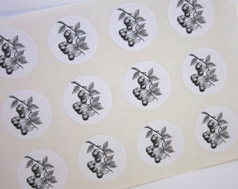 Cherry Stickers One Inch Round Seals