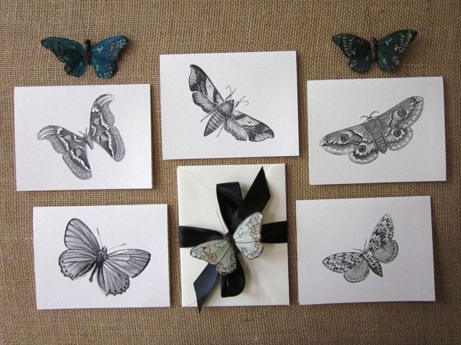 Moth Butterfly Note Cards Set of 10 With Matching Envelopes - Etsy