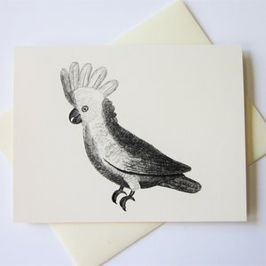 Cockatoo Note Cards Set of 10 with Matching Envelopes