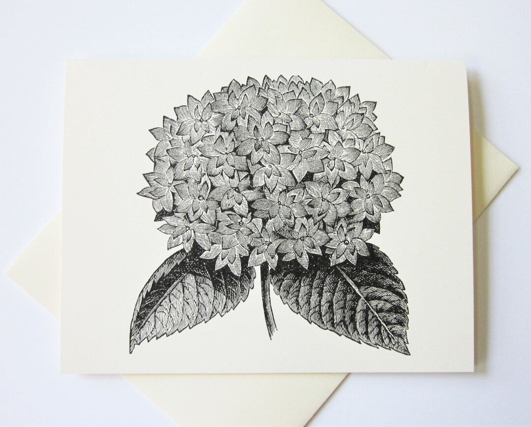 Hydrangea Flower Note Cards Set of 10 With Matching Envelopes - Etsy