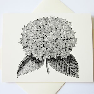 Hydrangea Flower Note Cards Set of 10 with Matching Envelopes
