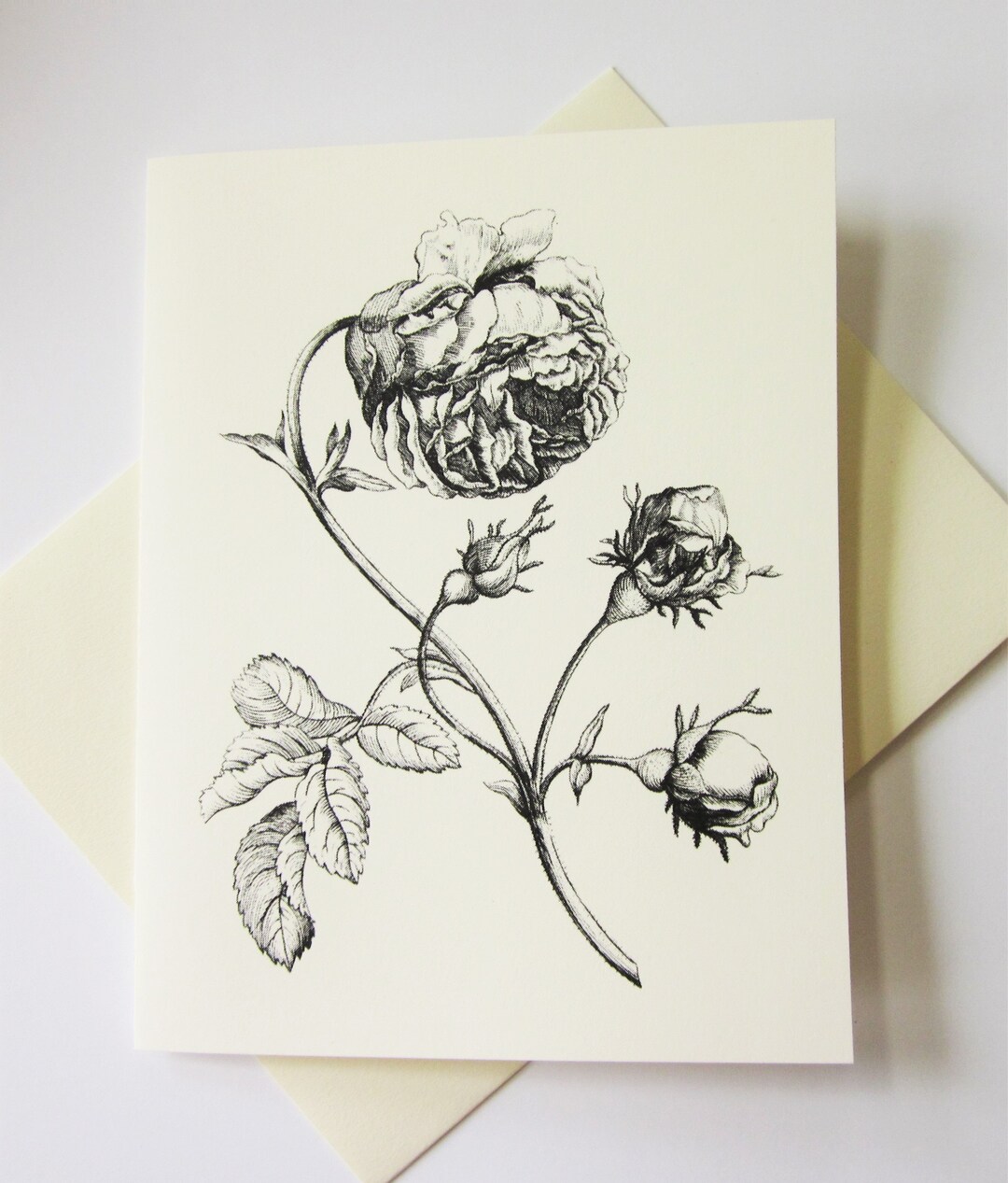 Peony Flower Note Cards Stationery Set of 10 Cards in White or Light ...