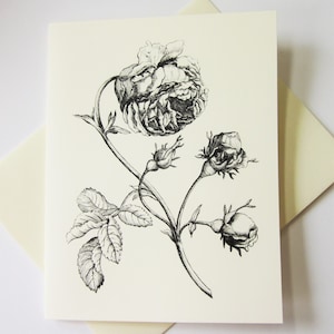 Peony Flower Note Cards Stationery Set of 10 Cards in White or Light ...