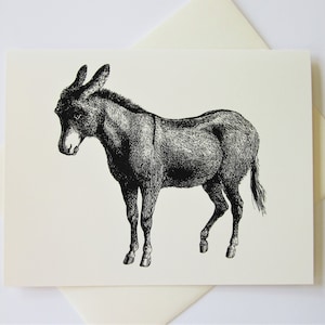 Donkey Burro Note Cards Stationery Set of 10 Cards
