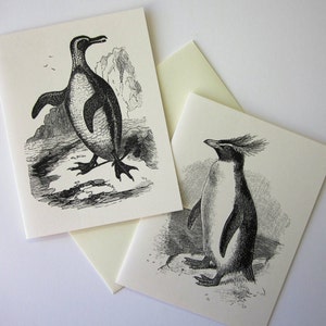 Penguin Note Cards Stationery Set of 10 Cards