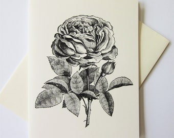 Rose Flower Note Cards Set di 10 con buste abbinate