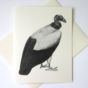 Vulture Note Cards Set of 10 with Matching Envelopes