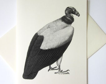 Vulture Note Cards Set of 10 with Matching Envelopes