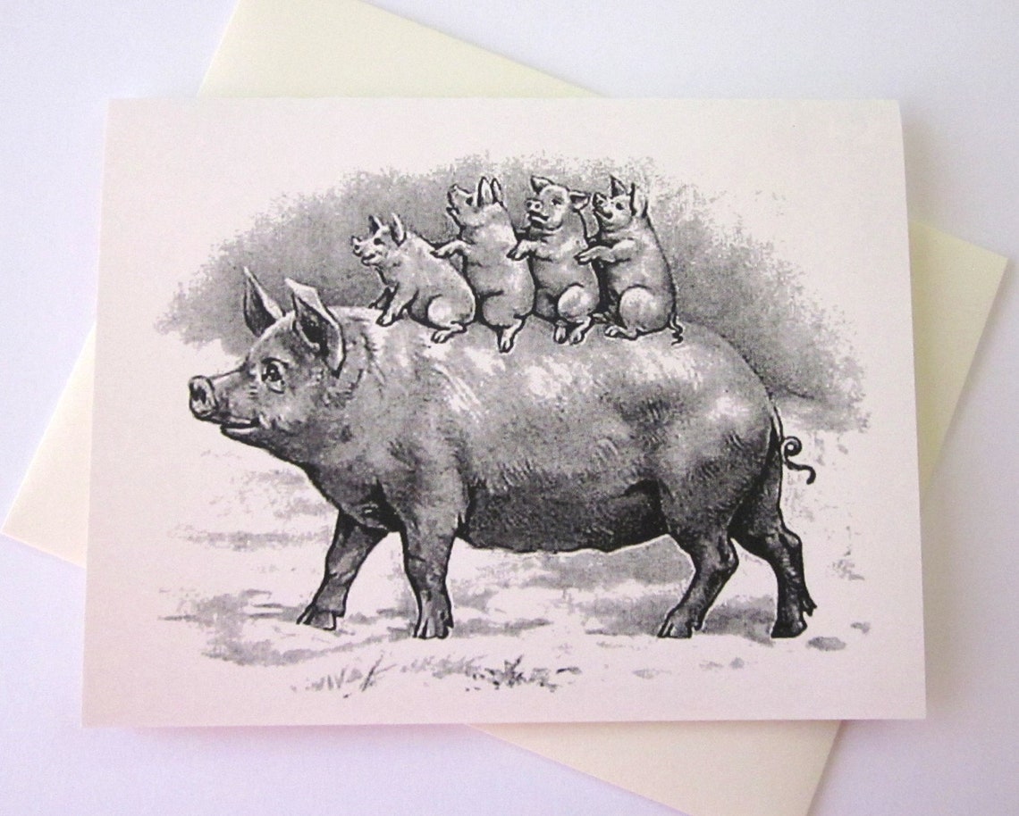 Pig and Piglets Note Card Set of 10 in White or Light Ivory With ...