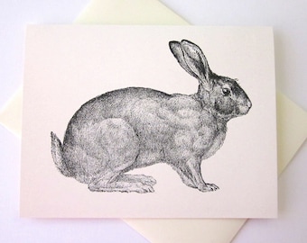 Rabbit Note Card Set of 10 in White or Light Ivory with Matching Envelopes