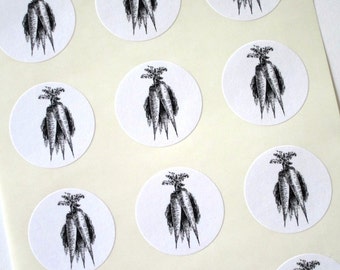 Carrot Stickers One Inch Round Seals