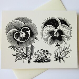 Pansy Violet Flower Floral Note Cards Ensemble de 10 avec enveloppes assorties