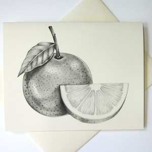 Cartões de notas de frutas laranja conjunto de papelaria de 10 cartões em branco ou marfim claro com envelopes correspondentes