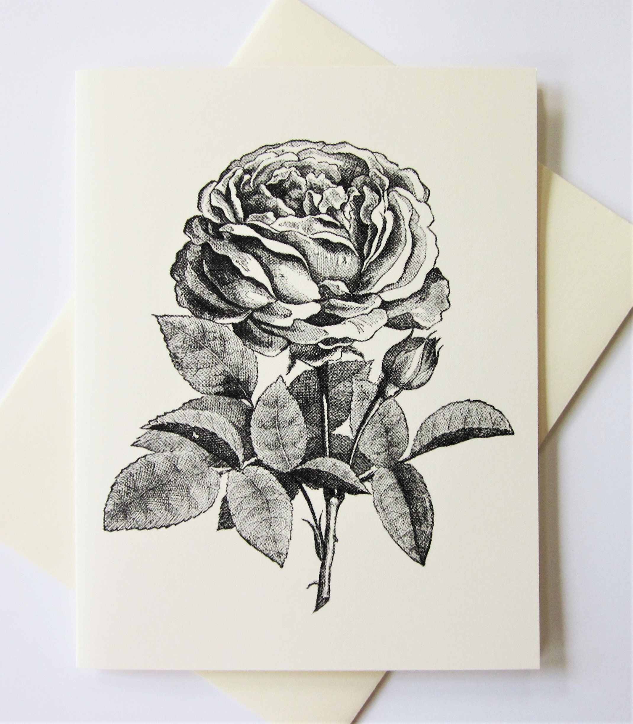 Rose Flower Note Cards Set of 10 With Matching Envelopes - Etsy