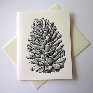 Cartões de notas de pinha conjunto de papelaria com 10 cartões com envelopes correspondentes