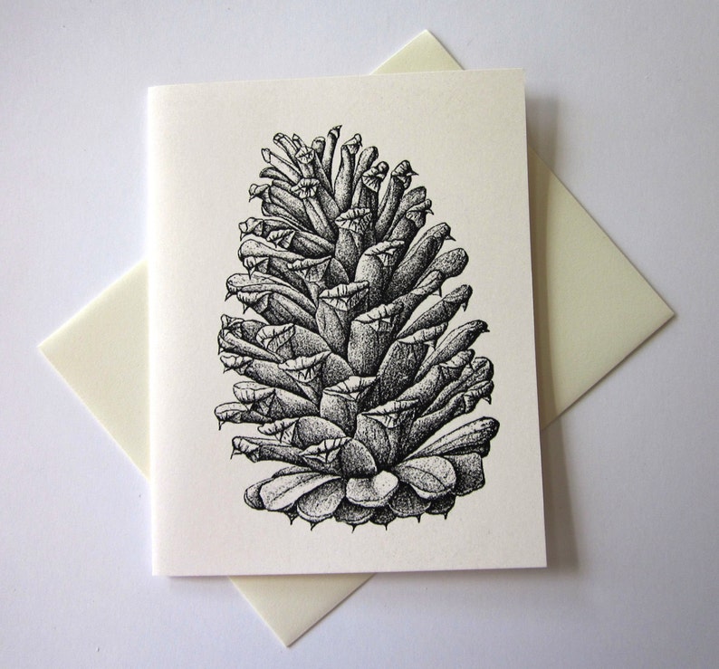 Pine Cone Note Cards Stationery Set of 10 Cards with Matching image 1