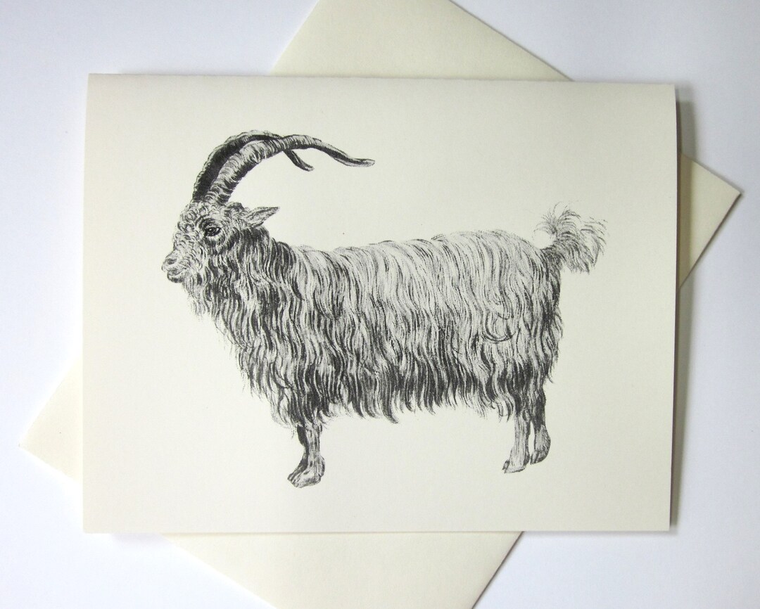 Goat Note Cards Stationery Set of 10 Cards in White or Light Ivory With ...