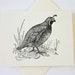 see more listings in the Note Cards, Stationery section