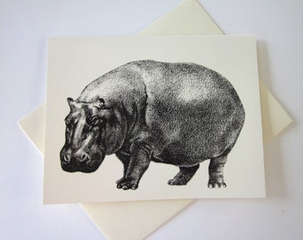 Conjunto de 10 cartas de hipopótamo hipopótamo em branco ou marfim claro com envelopes correspondentes