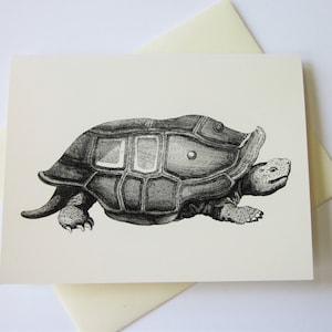 Turtle Tortoise Note Cards Set of 10 with Matching Envelopes