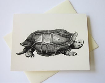 Turtle Tortoise Note Cards Set di 10 con buste abbinate
