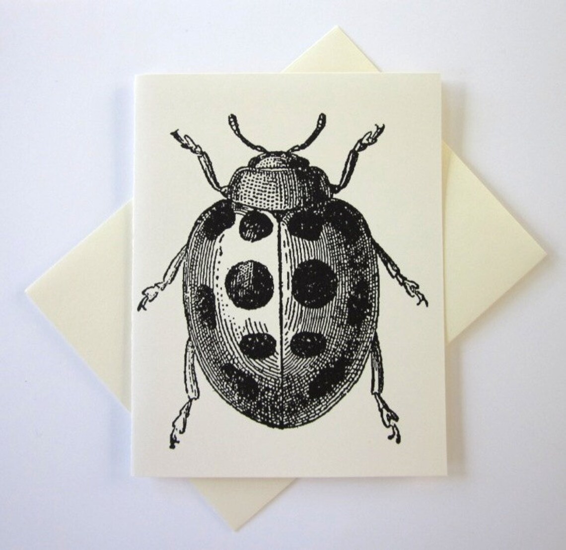 Ladybug Note Cards Stationery Set of 10 Cards in White or Light Ivory ...