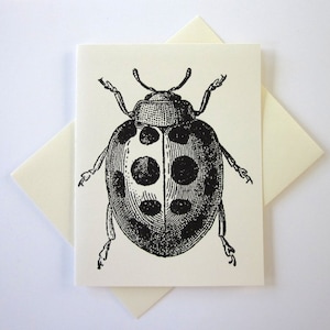 Ladybug Note Cards Stationery Ensemble de 10 cartes en ivoire blanc ou léger avec enveloppes assorties