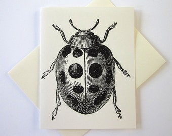 Ladybug Note Cards Cartoleria Set di 10 carte in bianco o avorio chiaro con buste abbinate