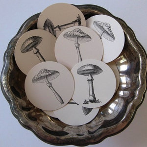 Mushroom Tags Round Gift Tags Set of 10 image 1