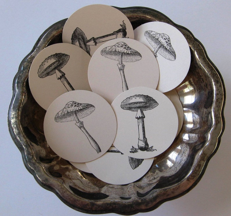 Mushroom Tags Round Gift Tags Set of 10 image 1