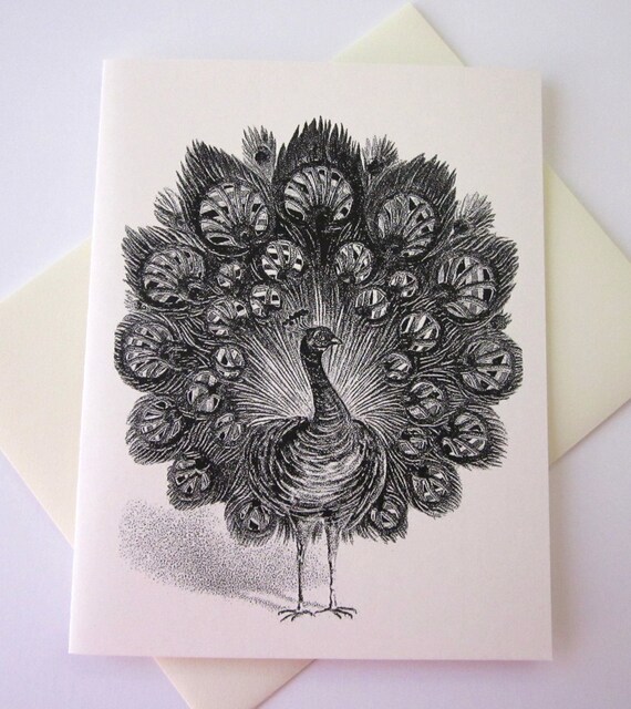 Peacock Mini Note Cards