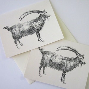 Goat Note Cards Stationery Set of 10 Cards in White or Light Ivory With ...