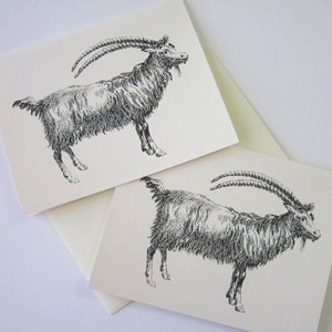 Goat Note Cards Stationery Set of 10 Cards in White or Light Ivory with Matching Envelopes image 3