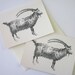 Goat Note Cards Stationery Set of 10 Cards in White or Light Ivory With ...