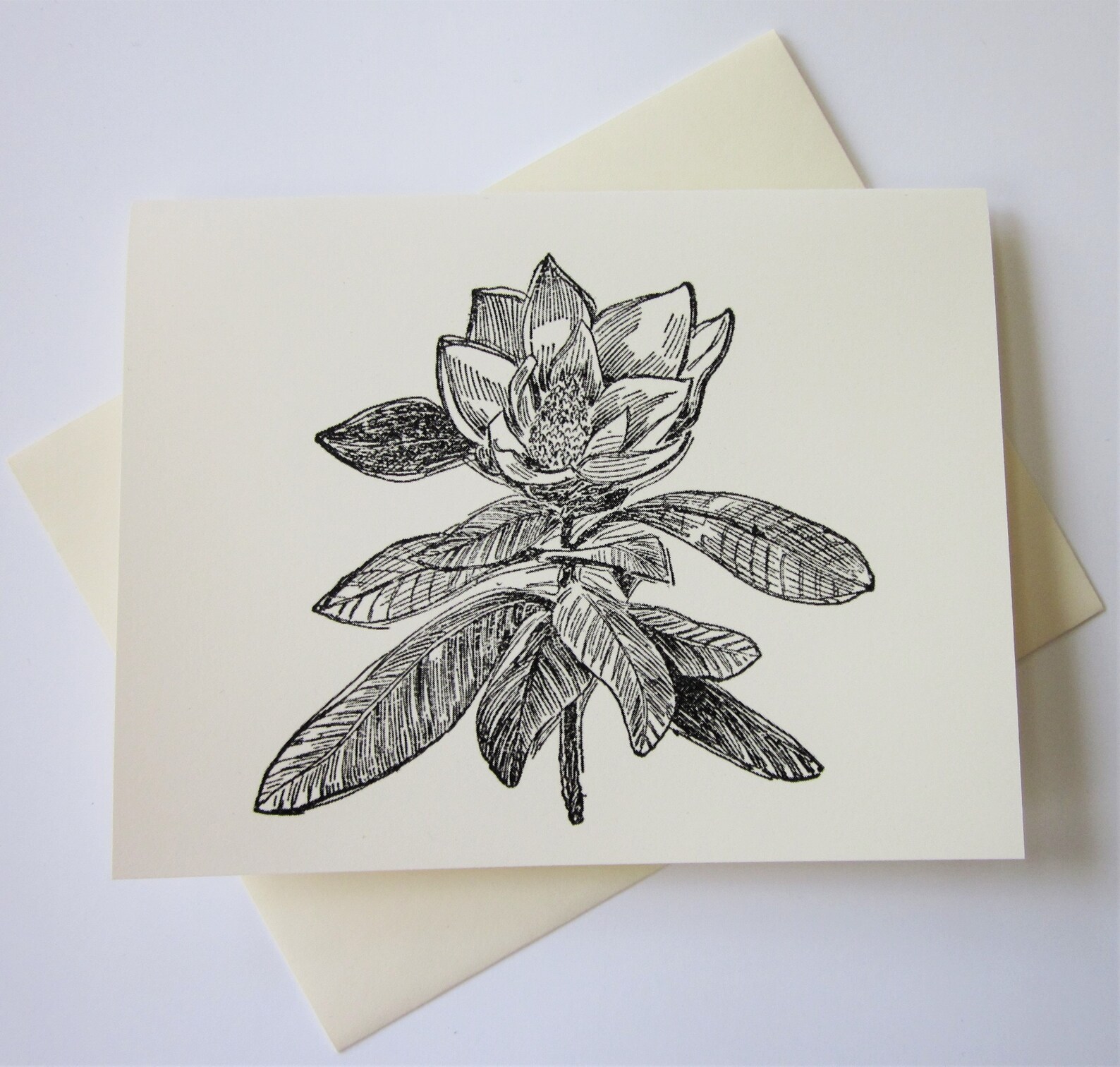 Magnolia Flower Note Cards Set of 10 With Matching Envelopes - Etsy