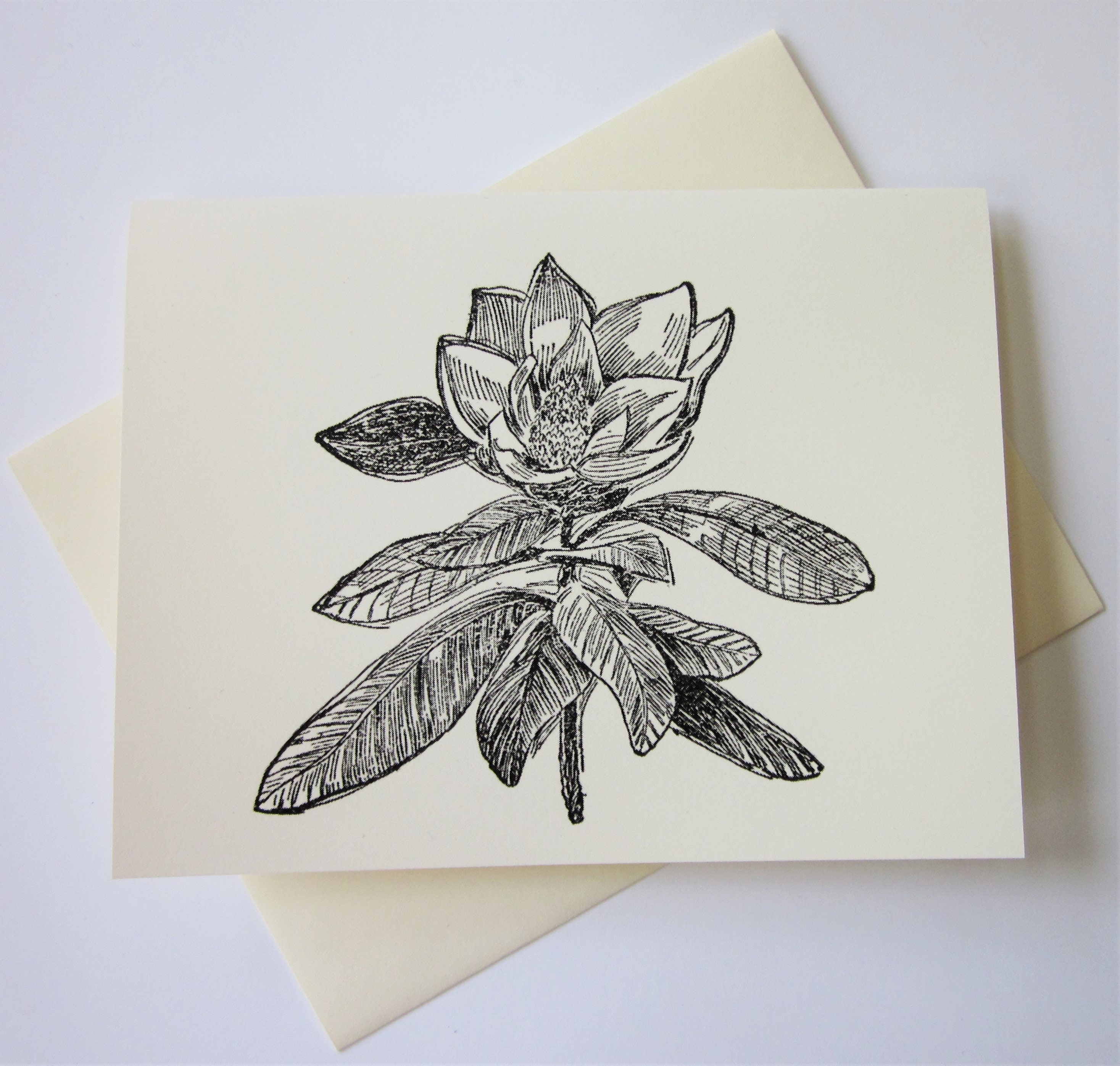 Magnolia Flower Note Cards Set of 10 With Matching Envelopes - Etsy